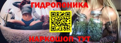 таблы Лесосибирск