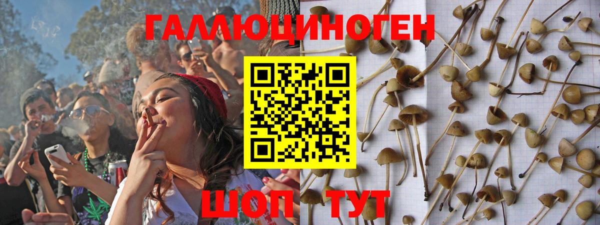 Касимов  Псилоцибиновые грибы ЛСД  Вход с VPN 